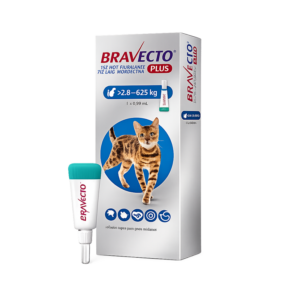 Antiparasitario Bravecto Plus Gatos 2,8 a 6,25 kg